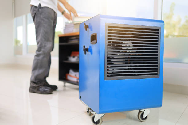 North Liberty, IA Mold Removal Pros