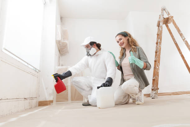 Forensic Mold Investigation in North Liberty, IA