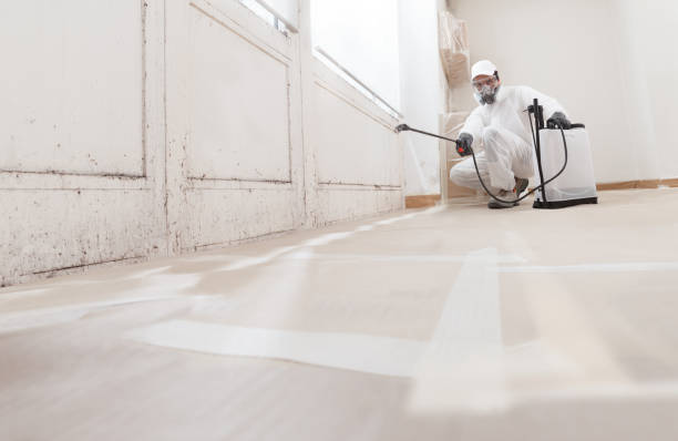 Biohazard Mold Removal in North Liberty, IA